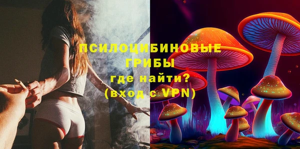марки lsd Белокуриха
