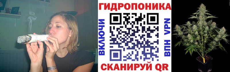 Канабис план наркота Белоусово